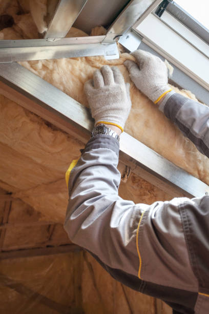 Best Weatherproofing Services  in Worth, IL